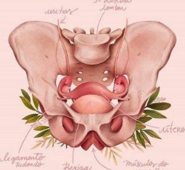valutazione del pavimento pelvico